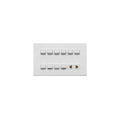 Opal 10 Switch + 1 Socket Plate