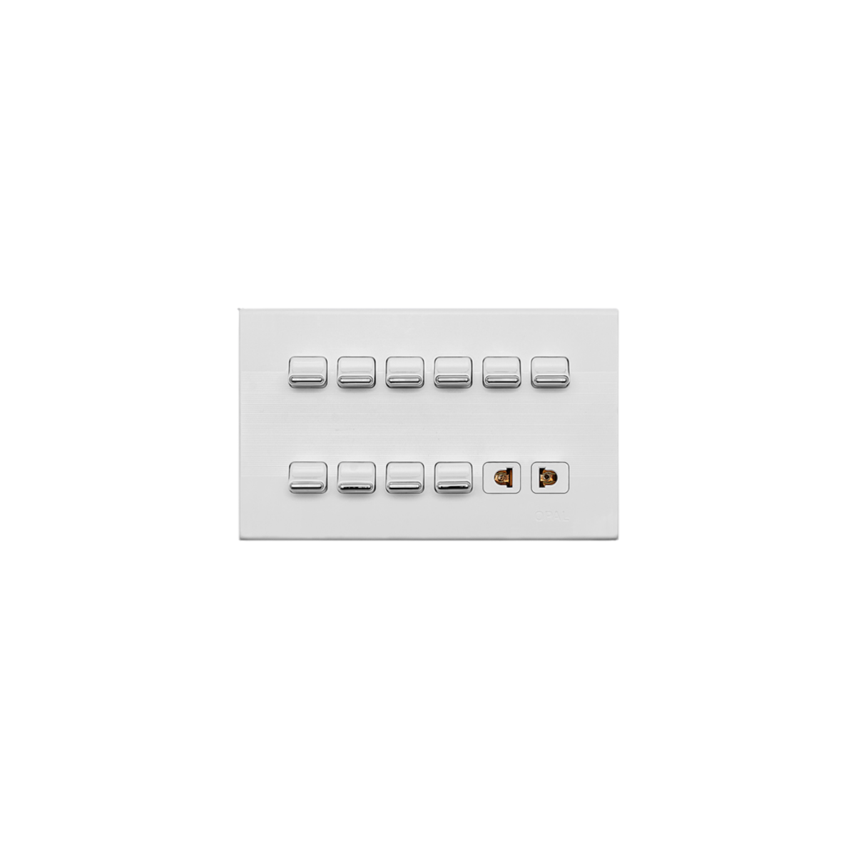 Opal 10 Switch + 1 Socket Plate