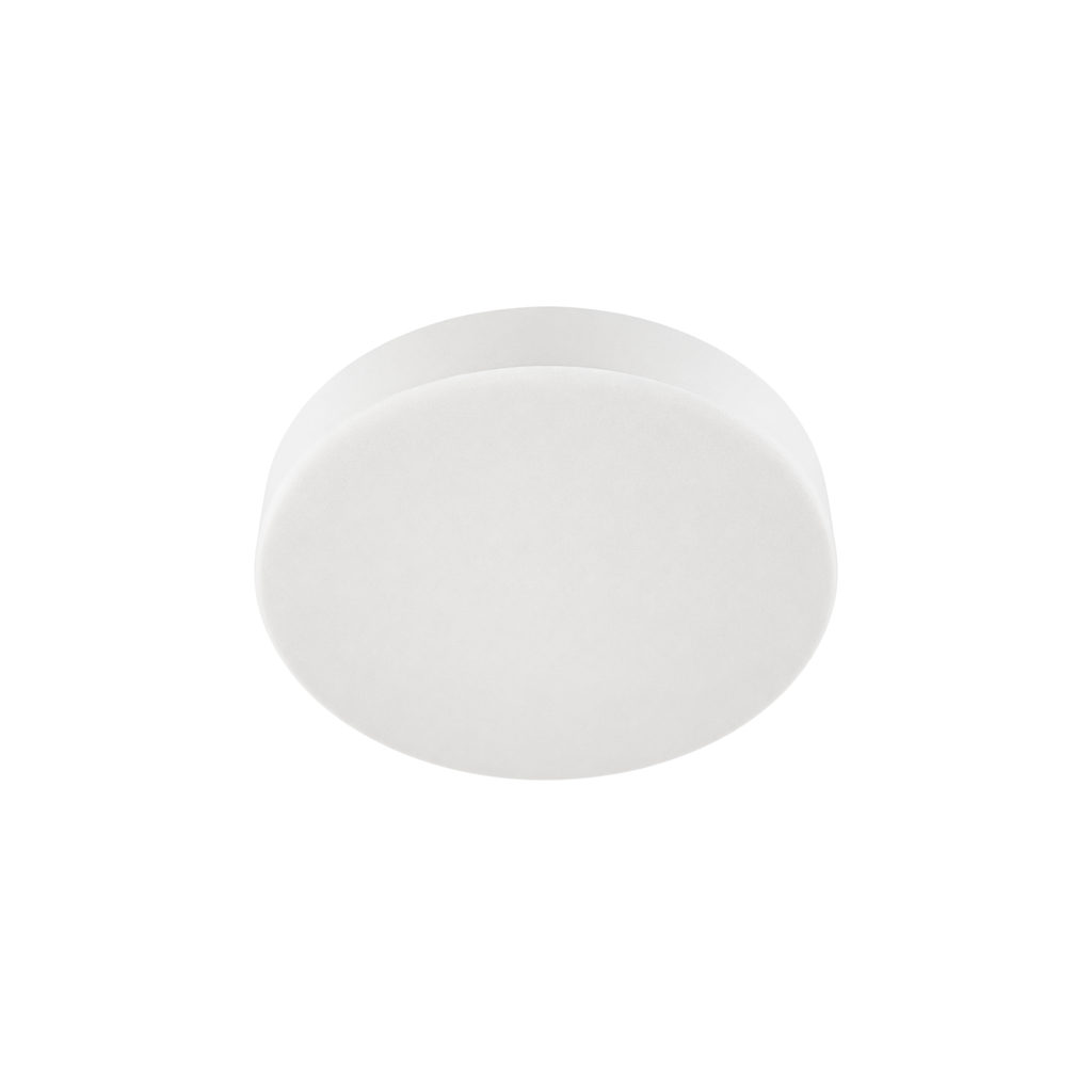 16W ICE SMD Light Philips