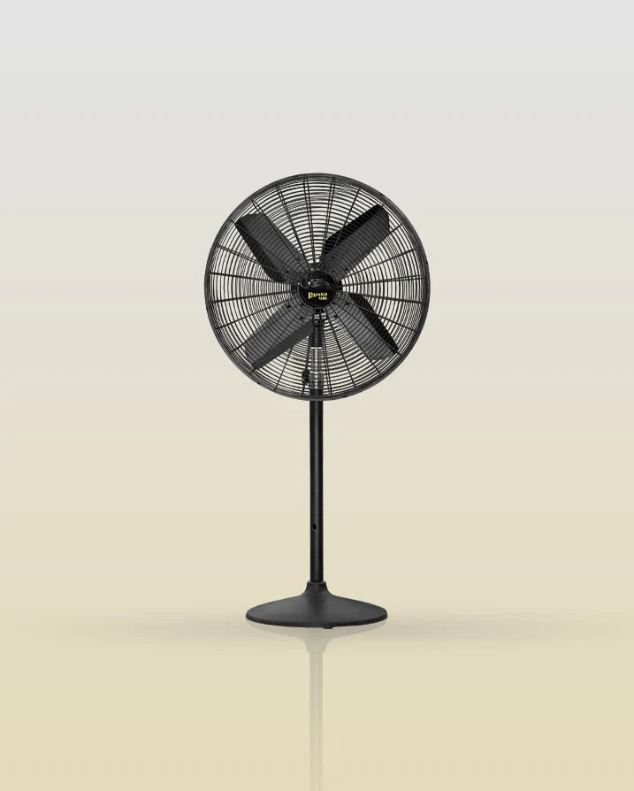 Pedestal Fans