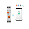 63a 2p Wifi Smart Breaker Mora