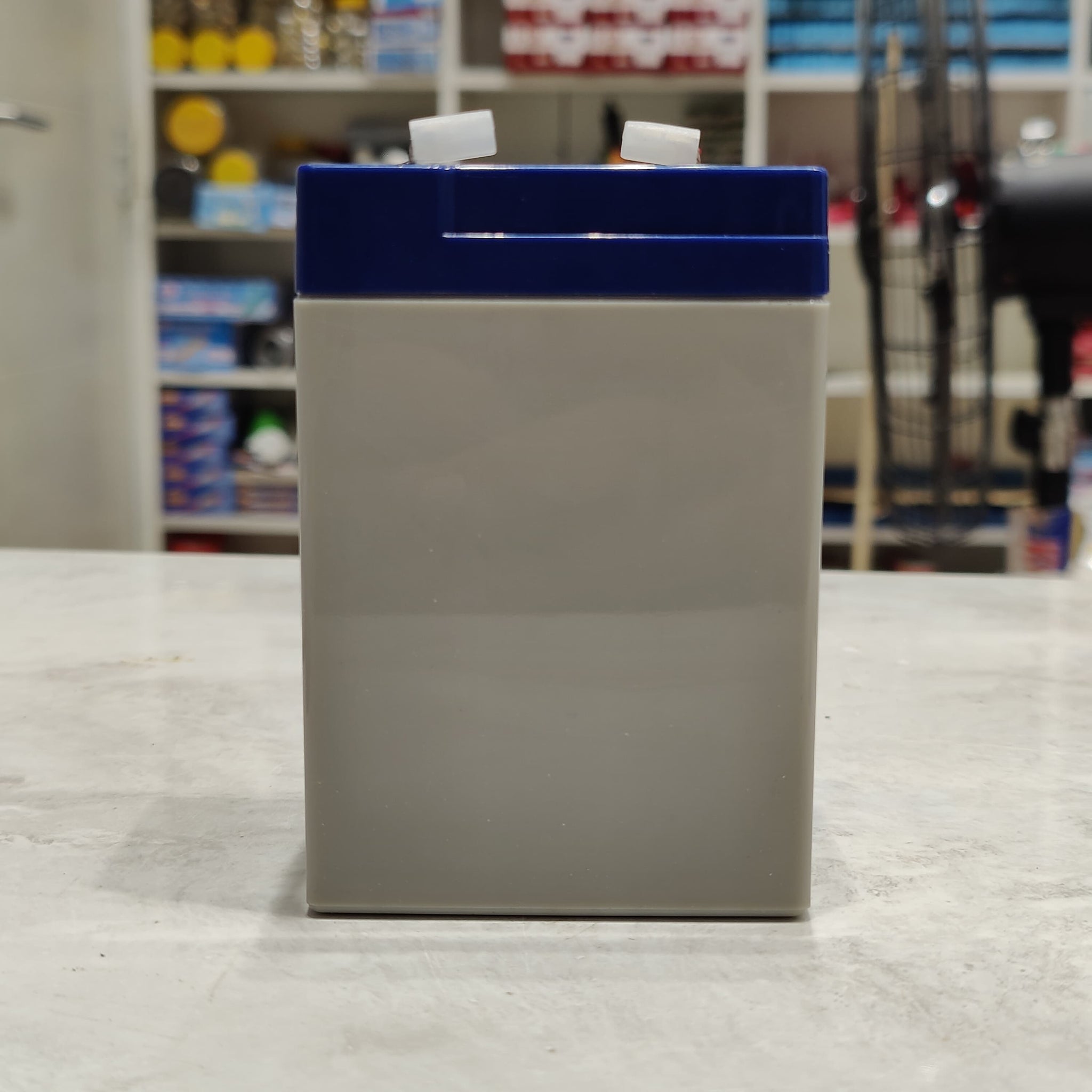 LIDO 6V 4.5Ah Rechargeable Sealed Battery
